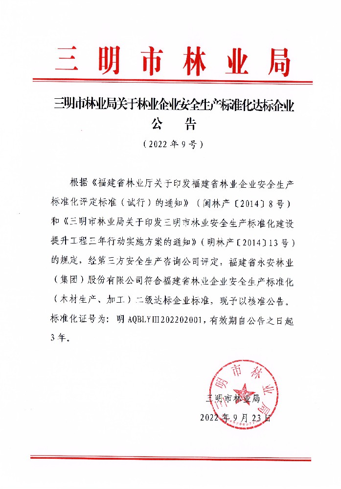 安全出产尺度化二级达标企业