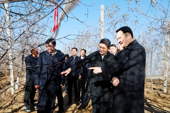 余红辉到延安市安塞区调查林业产业提质增效工作