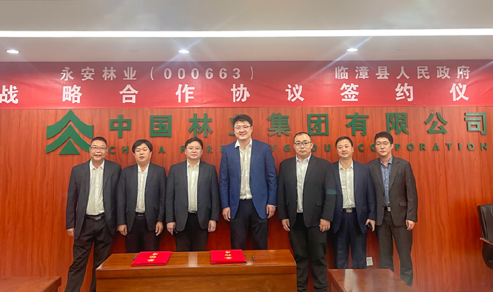 Easybet林业与临漳县人民当局签署战术合作和谈
