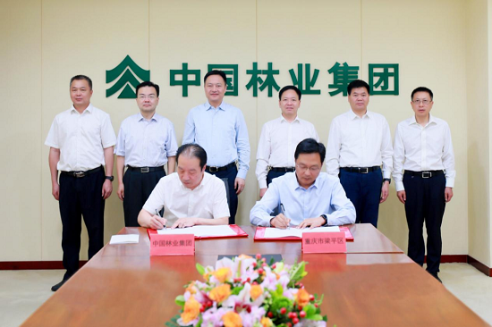 中林集团与重庆市梁平区人民当局签署战术合作和谈