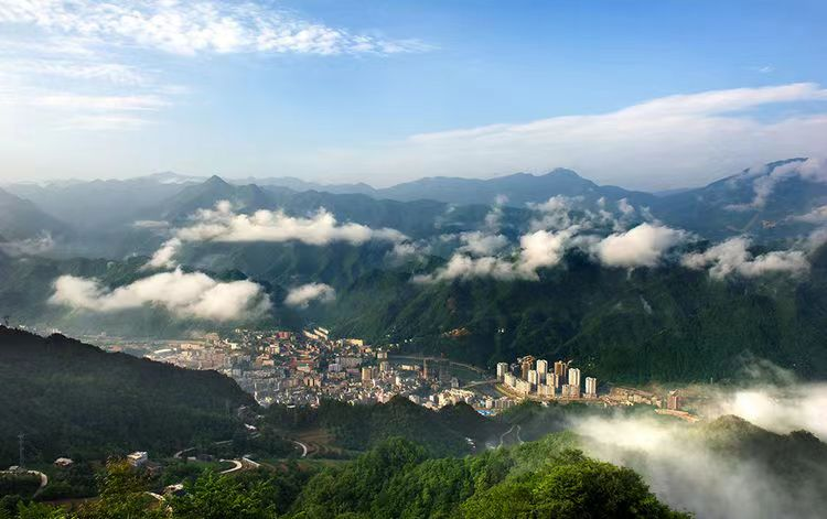 中林集团：：：把主题教育成就转化为助推俏丽中国建设的活泼实际