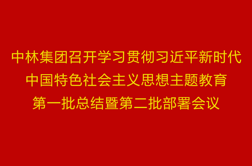 中林集团召开学习贯彻习近平新时期中国特色社会主义思想主题教育第一批总结暨第二批部署会议