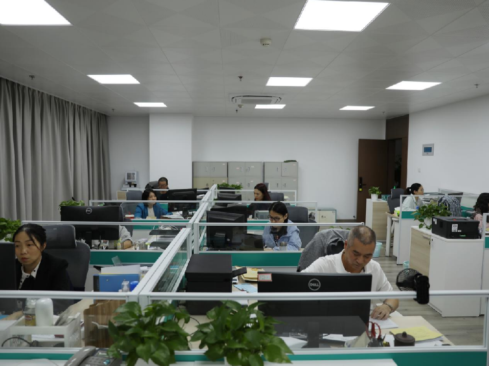 永葆奋进心灵，谱写发展华章 | Easybet林业干部职工以高昂状态推动工作工作落实