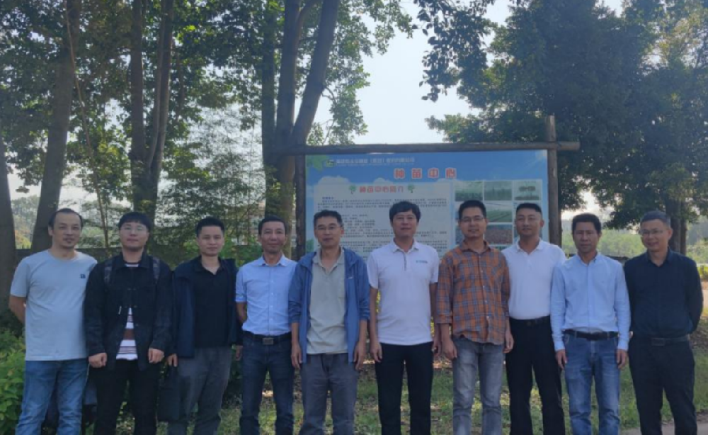 福建省“闽楠良种选育与滋生关键技术钻研”攻关项目推动会在Easybet林业种苗中心召开