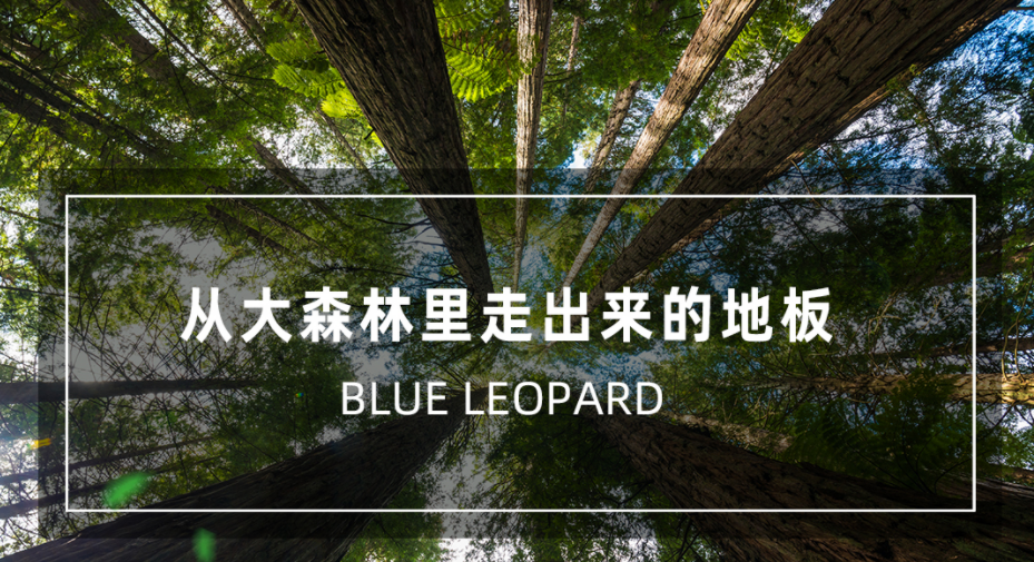 香杉实木复合地板