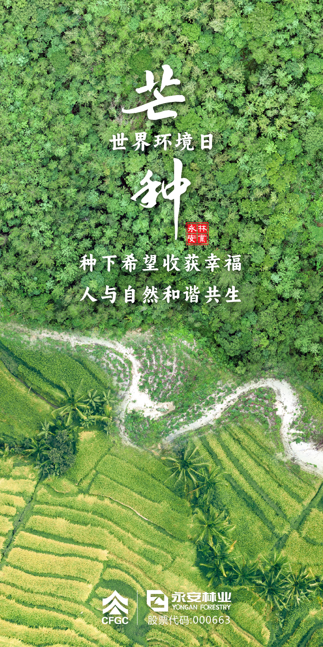 芒种、、、世界环境日海报.jpg