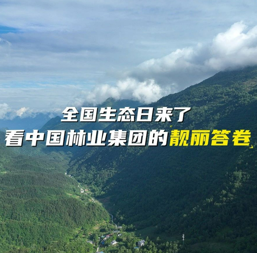 全国生态日来了！看中国林业集团的靓丽答卷
