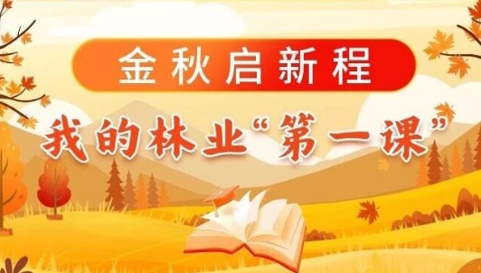 金秋启新程，，我的林业“第一课”（二）