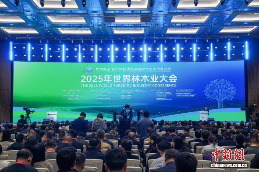 中国林业集团亮相2025年世界林木业大会 为生态文化建设提供“国度队”实际规划
