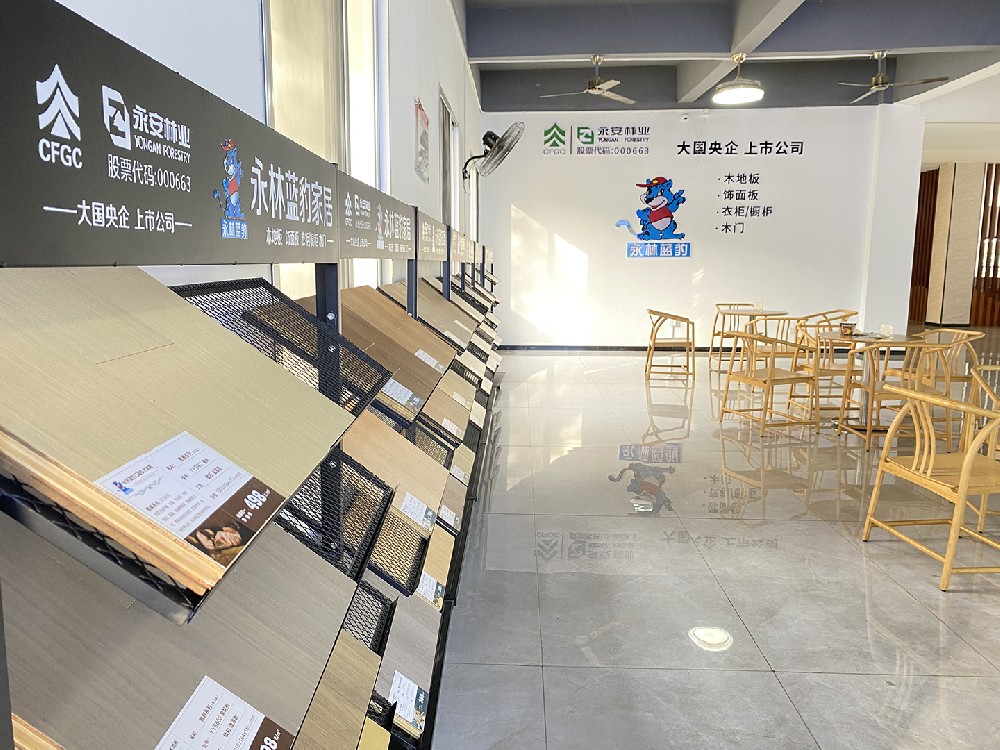 【子企业动态】永林蓝豹“高速”启航，品牌魅力再升级