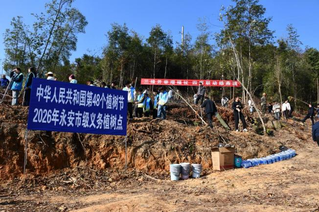 【子企业动态】植此青绿 共树将来 金树公司助力Easybet市2026年使命植树活动
