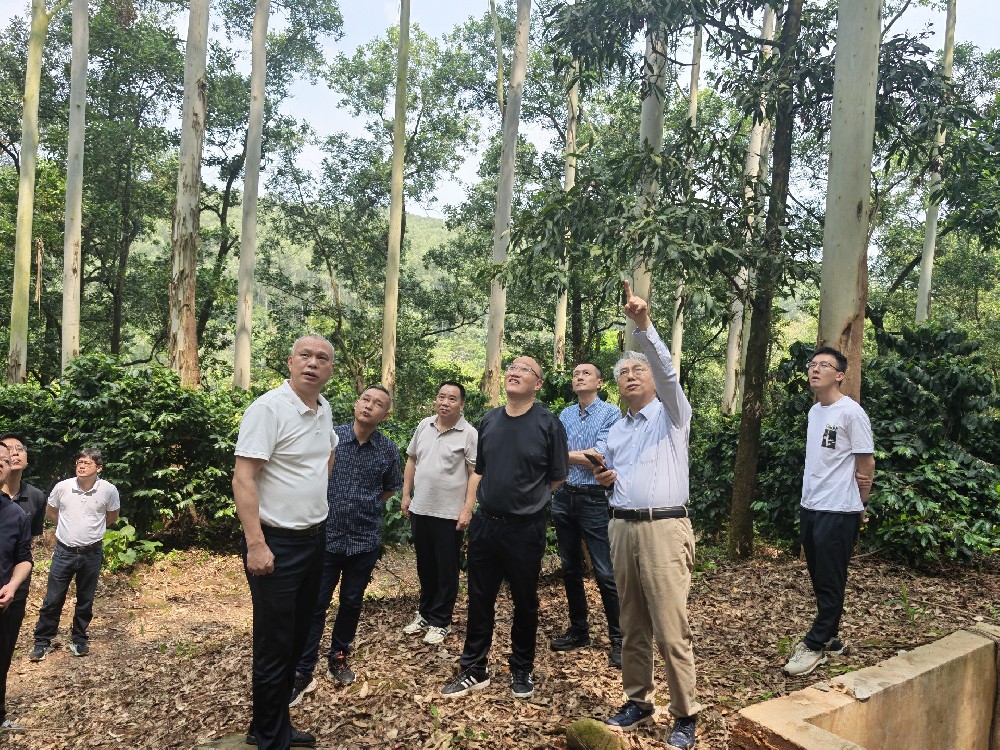 陆元昌教授赴Easybet林业专题调研国度储蓄林建设情况